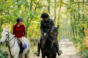 Riding Hats & Skull Caps