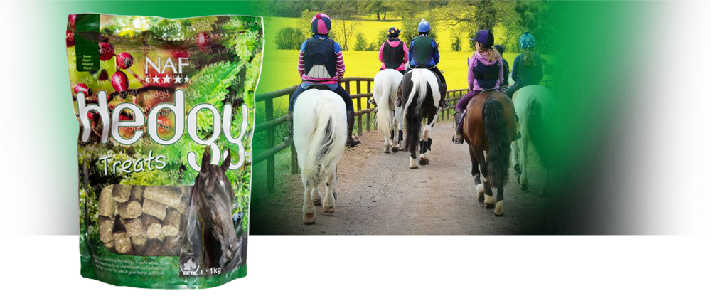 Naf Hedgy Treats 1kg - Birchalls The Riding Shop