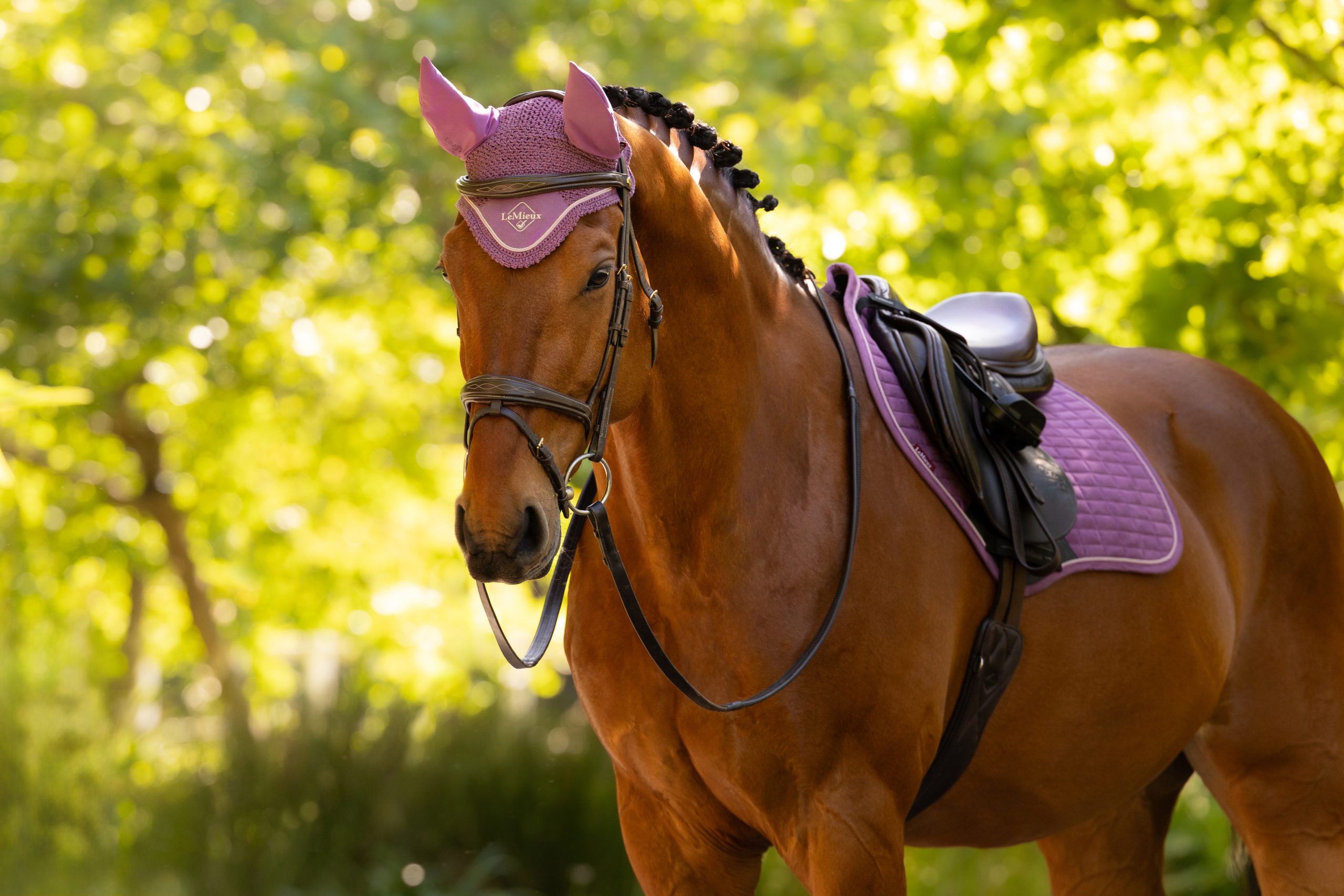 IT08264_lifestyle_classicflyhood_mallow_4