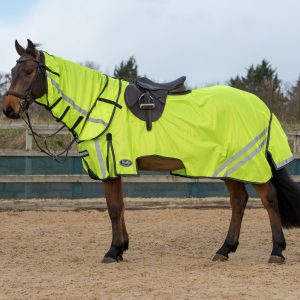 Reflective Cothing for Horse