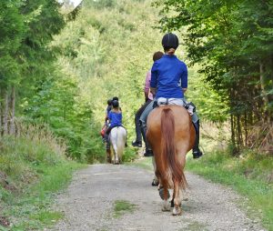 Chaps & Gaiters