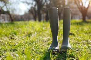 Country, Yard & Wellington Boots