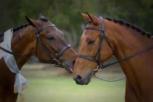 Plaiting, Scissors & Trimming